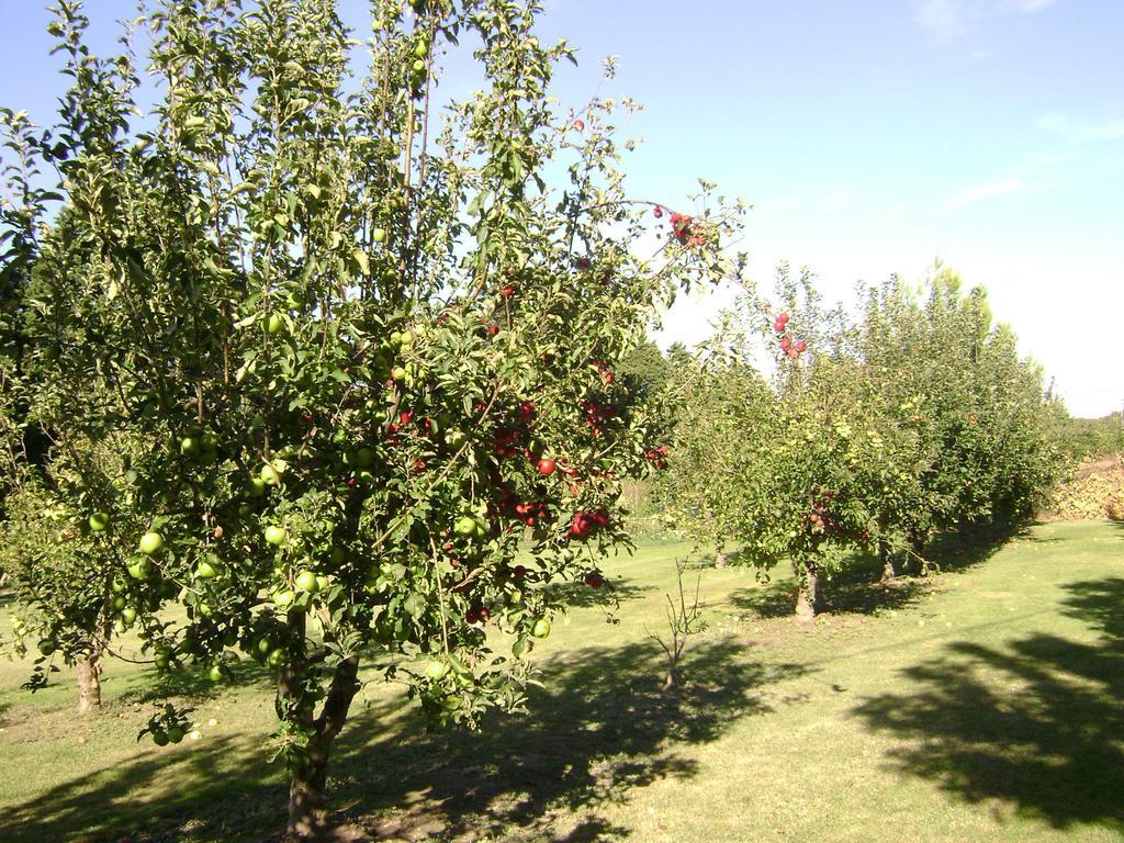 Gite La Gourmandine Saint-Andiol Esterno foto