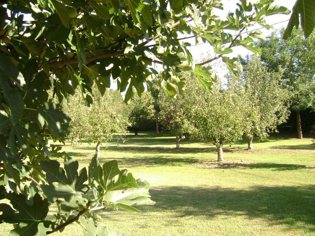 Gite La Gourmandine Saint-Andiol Esterno foto